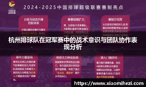 杭州排球队在冠军赛中的战术意识与团队协作表现分析